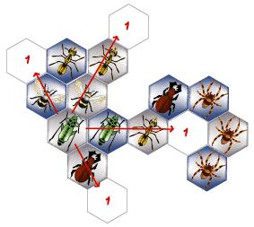 Hive13 (24K)